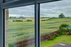 Photo 45- click for photo gallery